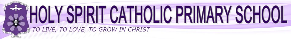 HSCPNT Front Banner.jpg