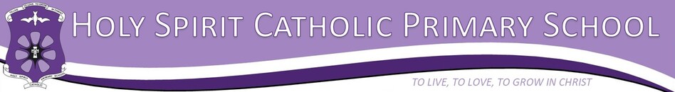 HSCP Front Banner.jpg